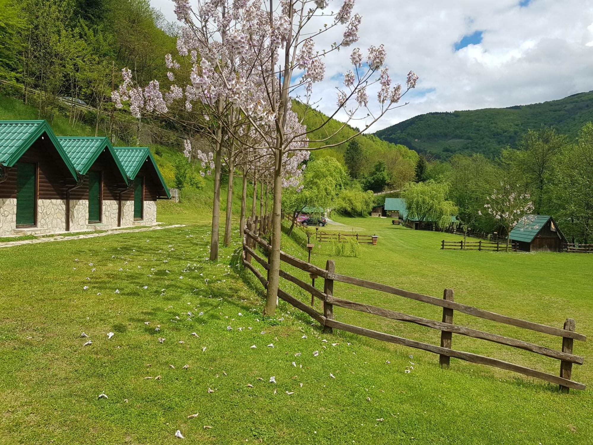 Camping Drina Foca Kültér fotó